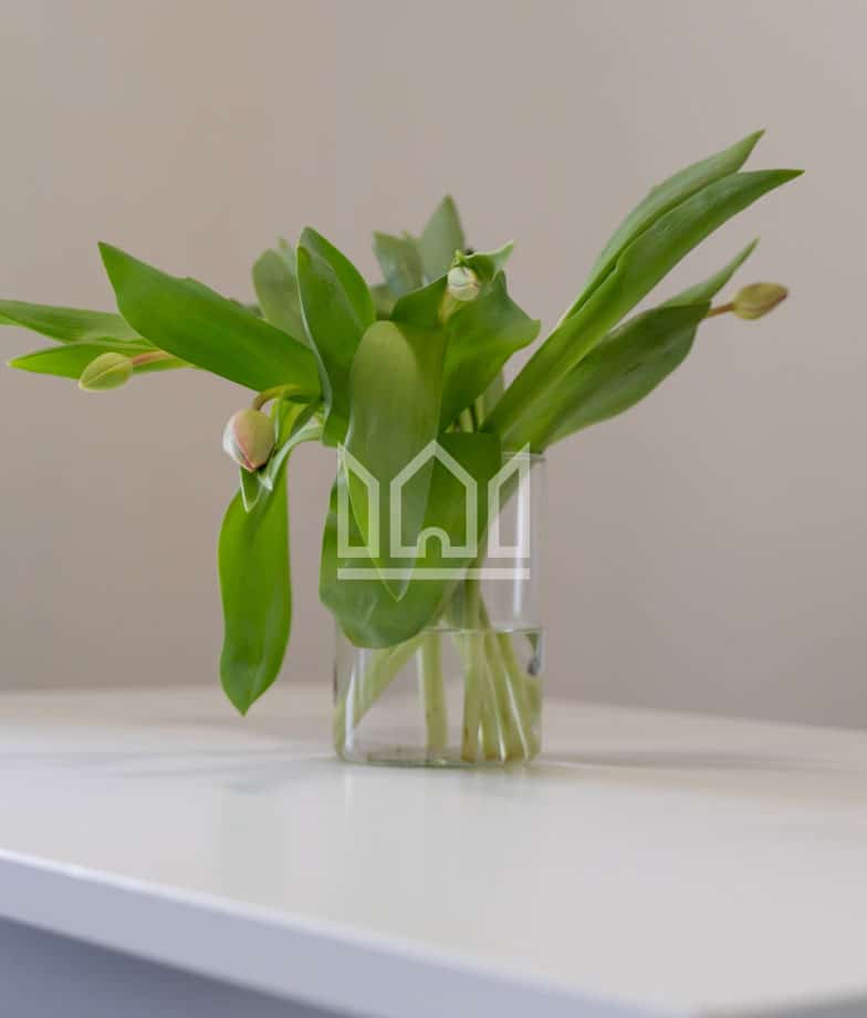 appartamenti a ferrara_ gold apartment river house_DSC00542