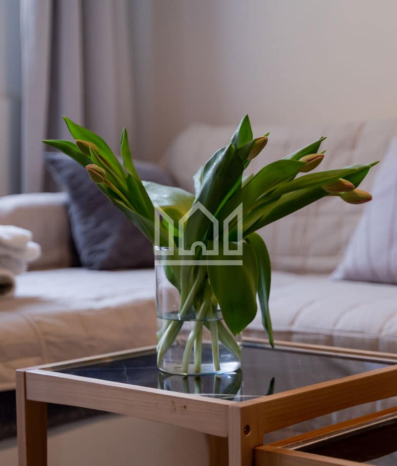 appartamenti a ferrara_ gold apartment river house_DSC00543